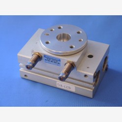 Koganei RAT30-90-SS2-2W